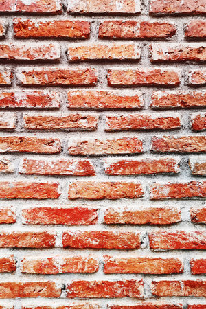 Texture of the brick wallsの写真素材