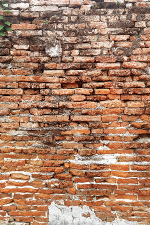 Texture of the brick wallsの写真素材