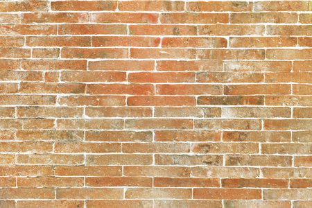 Texture of the brick wallsの写真素材