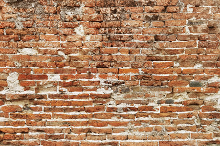 Texture of the brick wallsの写真素材