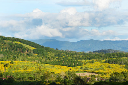 Beautiful landscape with mountains view, Thailandの写真素材
