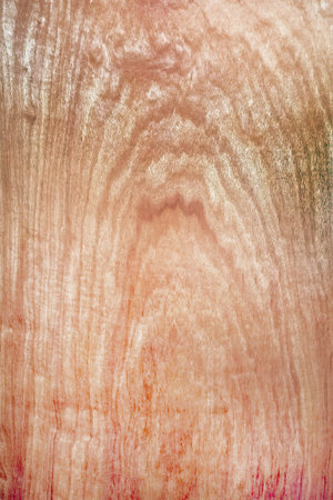 close up of wooden texture for backgroundの写真素材