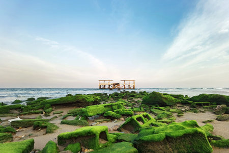 tropical beach and blue sky in natureの写真素材