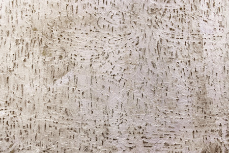 Concrete cement cracked wall texture for backgroundの写真素材