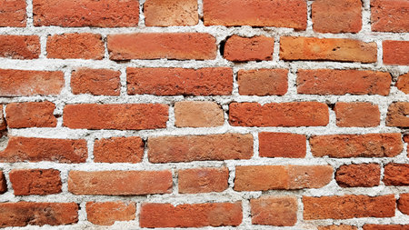 Texture of the brick wallsの写真素材