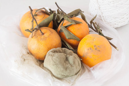 Orangeの写真素材