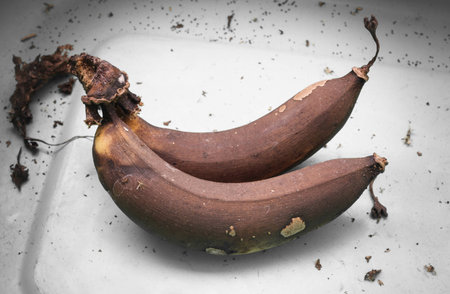 Bananaの写真素材