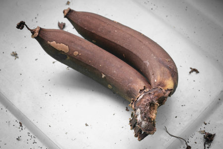 Bananaの写真素材