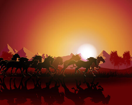 Horse silhouette on sunset background のイラスト素材