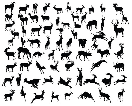deers collection silhouettes - vectorのイラスト素材