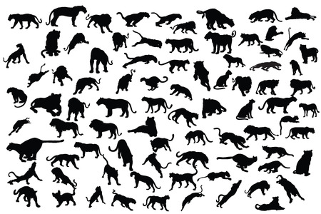 tiger and lion silhouette collectionのイラスト素材