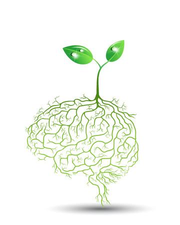 Young plant with brain root, vectorのイラスト素材