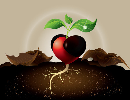 concept of green sprout growing from heart.のイラスト素材