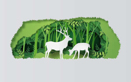 World Wildlife Day with the animalの写真素材