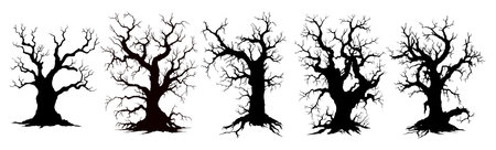 Set of different dead tree silhouette on whiteのイラスト素材