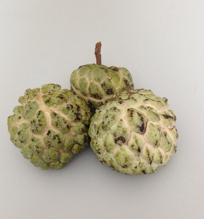 Custard apple on white backgroundの素材