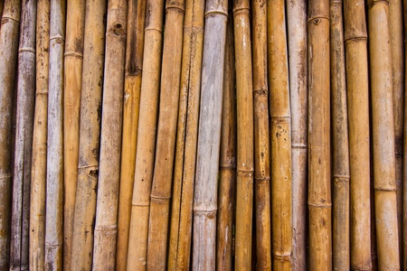 bamboo texture closeupの写真素材