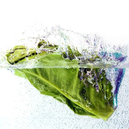 Fresh Cos Lettuce leaves falls under water with a splash  isolated on white backgroundの写真素材