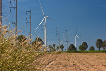 agriculture with wind turbine generator