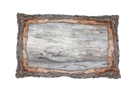 Picture frame wood cross section backgrounds bark and wood texture on white backgroundの写真素材