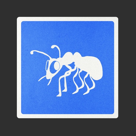 Ant traffic sign recycled paper on white background.の写真素材