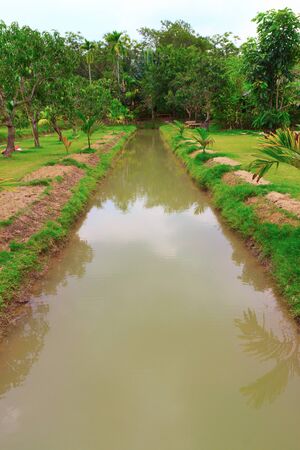 Rural landscape with ditch and mango trees.の写真素材