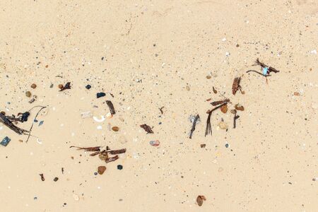 Sea shells with sand closeup as texture 