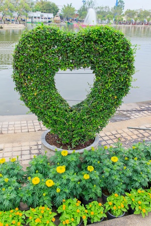 Decorate Tree plantations is a green heart.の写真素材