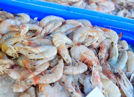 Shrimp put stacked in the market for sale の写真素材