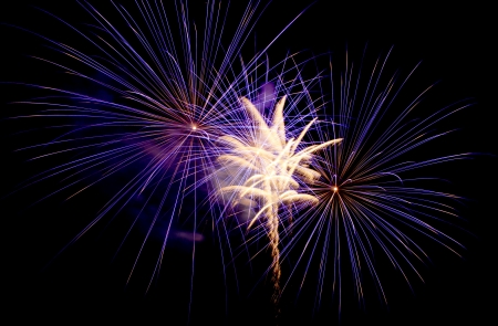 Exposure of multiple fireworks with a black sky.