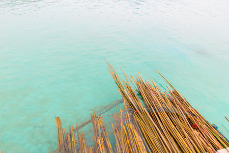 The bamboo floating in the blue sea.の写真素材