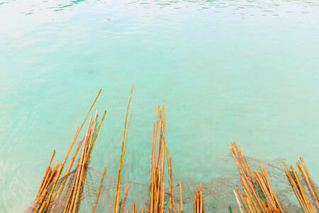 The bamboo floating in the blue sea.