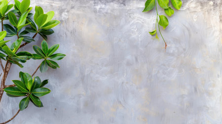 This abstract gray concrete texture offers a clean and grunge aesthetic, ideal for contemporary design projects.の素材