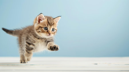 Watch this adorable kitten jump with glee in front of a bright yellow backdrop, capturing pure feline fun and charm.の素材