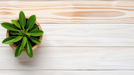 Stylish and functional, this white wood table serves as a centerpiece for your living space, combining beauty with practicality.の素材