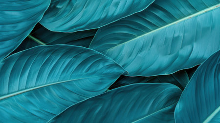 Dive into the beauty of nature with this closeup of dark green leaves, perfect for enhancing any design or theme.の素材
