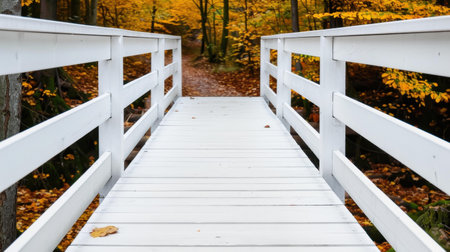 Enjoy a peaceful stroll on a striking white bridge above the Ratnycia river, nestled in the beautiful town of Druskininkai.の素材