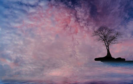 Cloudy skies tree shadowの写真素材