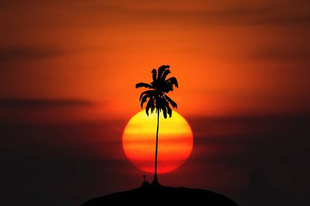 Sunrise coconut shadowの写真素材
