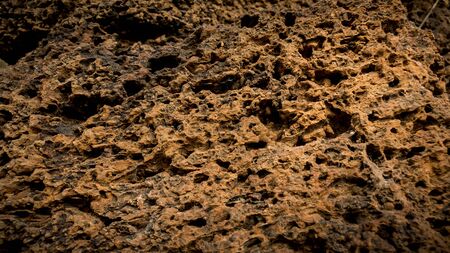 Texture of Laterite on wall