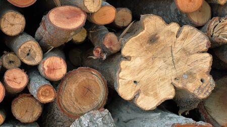 stack of chopped firewood