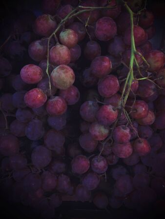 bunch of red grapes ready to eat, healthy fruits backgroundの写真素材