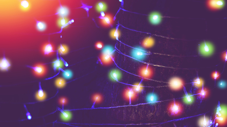 colorful outdoor string lights wrapped around tree in the gardenの写真素材