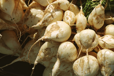 Jicama, crisp fresh and sweet taste fruit in local market Thailand.の写真素材