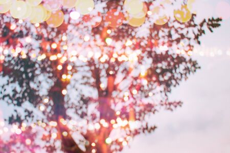 defocused light bulbs decoration bokeh night trees branch in holiday festival background, romantic place of love.の写真素材