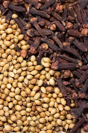 close up of dried coriander seeds and clove background, dried spicy herb for food aroma and natural medicine, ingredient in Indian spicesの写真素材