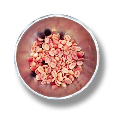 Dissection of Karonda Fruit in Thailand in stainless bowl - Preparing for make a herbの写真素材