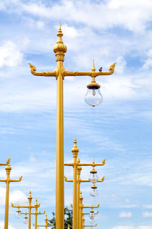 Light golden color with a blue sky の写真素材