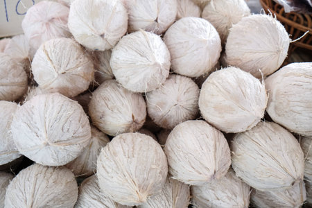 coconutの写真素材