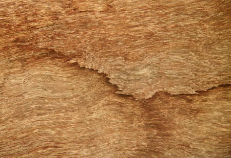 wood texture 